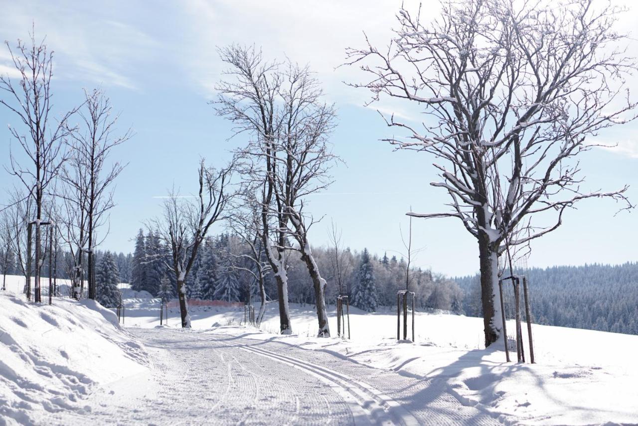 Apartmány U Muzea Horní Blatná Exterior foto